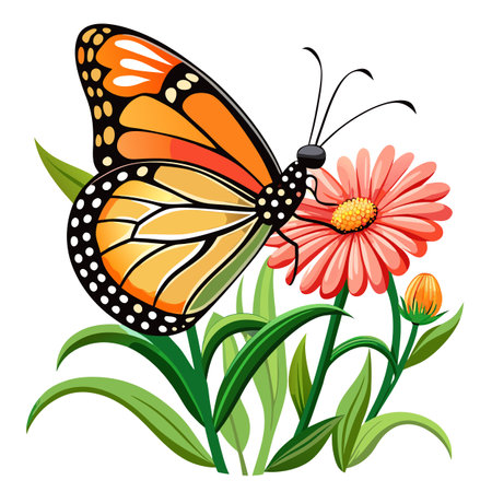 Bright monarch butterfly on a flower vector illustration vibrant insectのイラスト素材