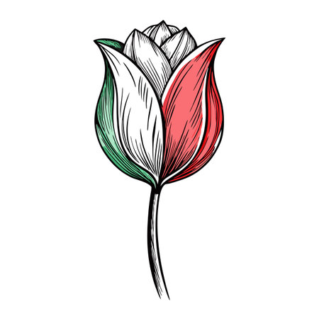 Half sketched tulip with artistic incompletion vector illustration modern floralのイラスト素材