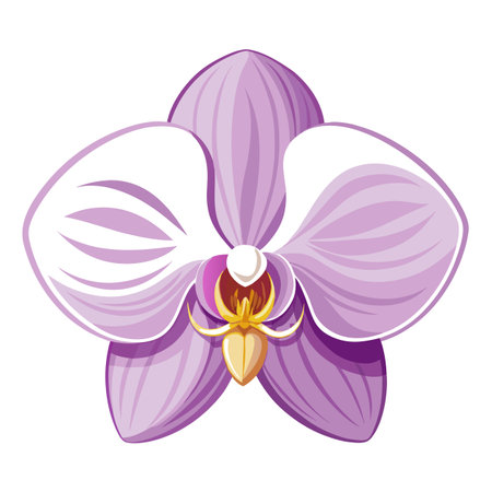 One stroke orchid with flowing elegance vector illustration minimalist floralのイラスト素材