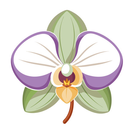 Modern orchid with one stroke design vector illustration minimalist floralのイラスト素材