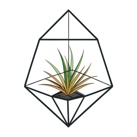 Air Plant In A Modern Hanging Metal Frameのイラスト素材