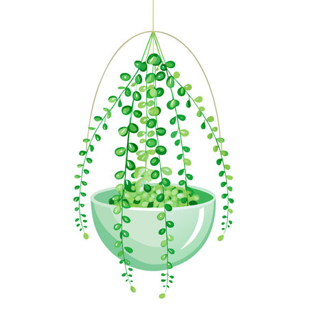 Unique Modern Display With String Of Pearls In Glassのイラスト素材
