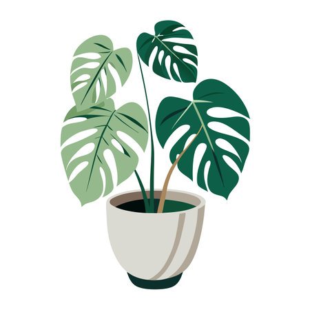Charming Monstera Displayed In A Minimalist Ceramic Potのイラスト素材