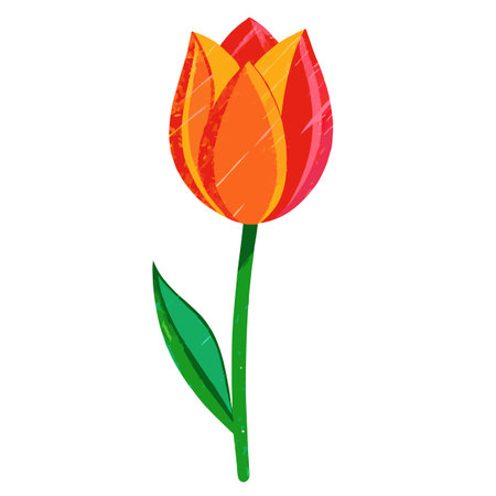 Vibrant Tulip Flower Illustration: Springtime Floral Design Element with Textured Styleのイラスト素材