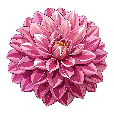 Isolated Pink Dahlia Flower Illustration on White Background: Detailed Vector Artworkのイラスト素材