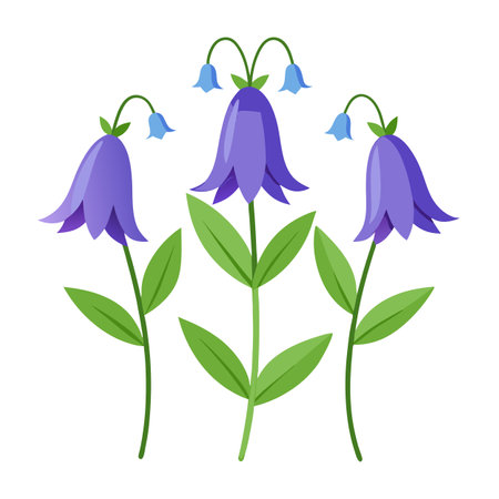 Stylized Bluebell Flowers Illustration on White Background for Print, Web Designのイラスト素材