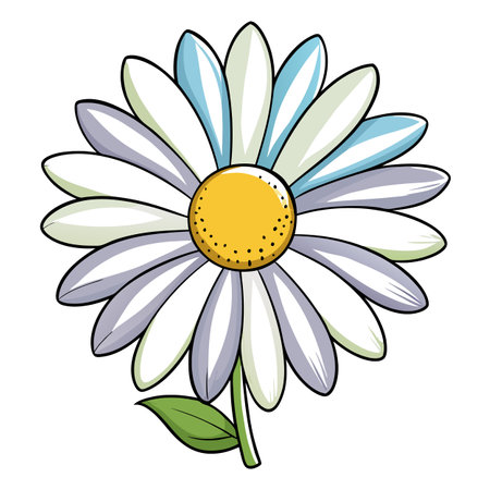 Illustration of a Colorful Daisy Flower with Petals, Stem, and Leafのイラスト素材