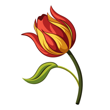 Elegant Vector Tulip Illustration with Red and Yellow Petals on White Backgroundのイラスト素材