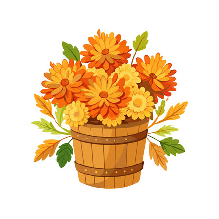 Autumn Chrysanthemums in Wooden Bucket: Fall Floral Arrangement Vector Illustrationのイラスト素材