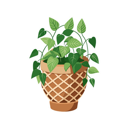 Potted Pothos Plant Illustration with Brown Woven Basket on White Backgroundのイラスト素材