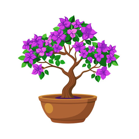 Blooming Bougainvillea Bonsai: Ornamental Indoor Potted Plant Illustration on White Backgroundのイラスト素材