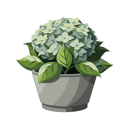 Potted Hydrangea Flower Illustration: Light Green Blooms in Gray Containerのイラスト素材