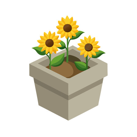 Isometric Sunflowers in a Square Pot - Illustration of Summer Flowersのイラスト素材