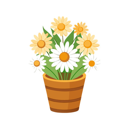 Daisy flower bouquet in pot. Vector illustration for design and art.のイラスト素材