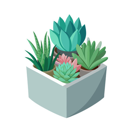 Succulent Garden in Square Pot, Assorted Varieties, Colorful Houseplants, Desert Plantsのイラスト素材