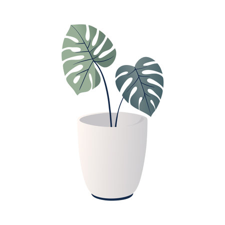 Monstera Plant in White Pot - Minimalist Illustration for Home Decorのイラスト素材