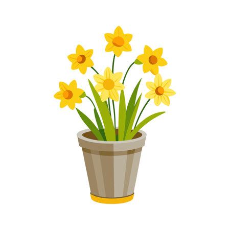 Daffodils in a Pot: Spring Flowers, Floral Decoration, Yellow Bloomsのイラスト素材