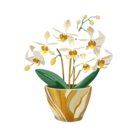 Vector Illustration of a Potted White and Yellow Orchid on White Backgroundのイラスト素材