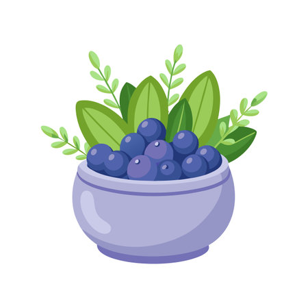 Stylized Bowl of Blueberries with Green Leaves, Food Illustration on Whiteのイラスト素材