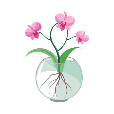 Orchid Plant in Glass Bowl: Pink Flowers, Green Leaves, and Rootsのイラスト素材