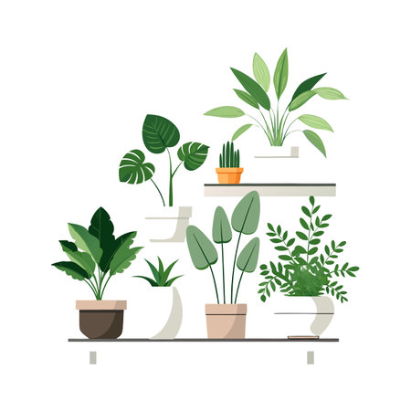 Houseplants on Shelves Vector Illustration for Interior Design and Home Decorのイラスト素材
