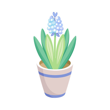 Charming blue hyacinth flower in a decorative pot, spring floral illustrationのイラスト素材
