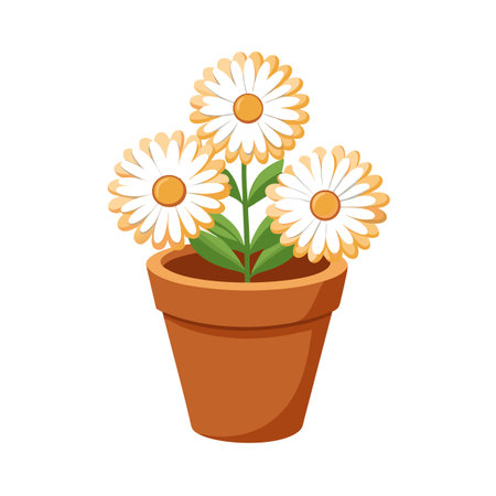 Cartoon Daisies in a Pot: Vector Illustration of Spring Flowersのイラスト素材