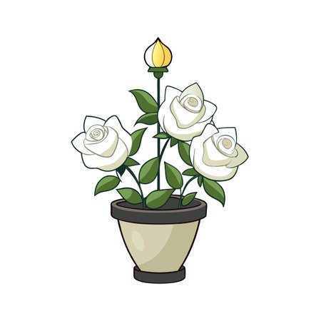 Elegant Potted White Roses with Bud: Decorative Floral Illustrationのイラスト素材