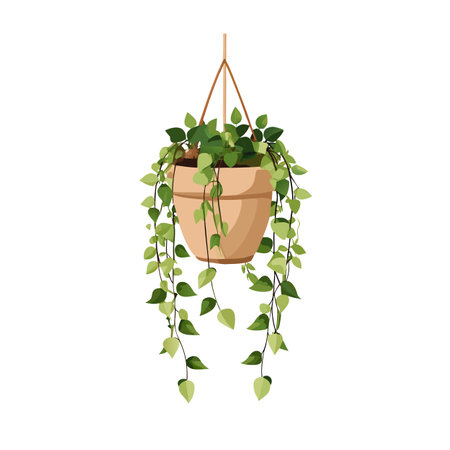 Hanging Plant in Brown Pot, Indoor Plant Illustration, Plant Decorationのイラスト素材