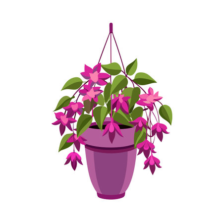 Hanging Fuchsia Plant in Pot Illustration, Vector, Isolated, Garden, Decorationのイラスト素材