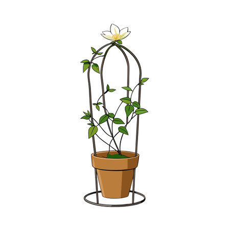 White Flower Growing in a Pot with Trellis for Climbing Illustrationのイラスト素材