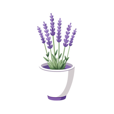 Lavender plant in a pot, isolated vector illustration on white background.のイラスト素材