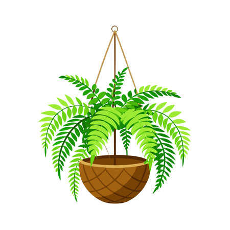 Hanging Fern Plant in Pot, Decorative Home Plant Illustrationのイラスト素材