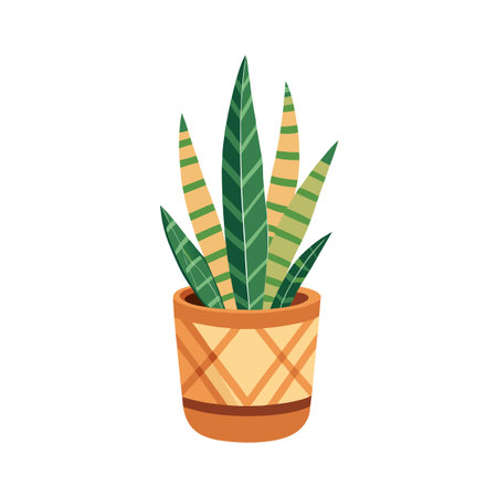 Snake Plant in Decorative Pot - Houseplant Illustration with Striped Leavesのイラスト素材
