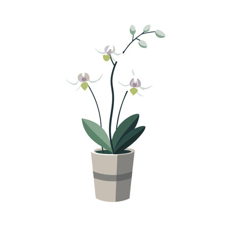 Elegant Potted Orchid Illustration for Home Decor and Plant Loversのイラスト素材