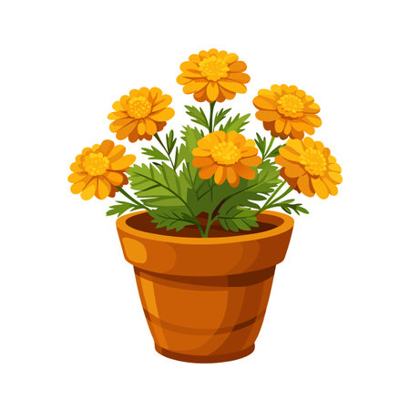 Cartoon Orange Marigold Flowers in a Terracotta Pot Isolated on Whiteのイラスト素材