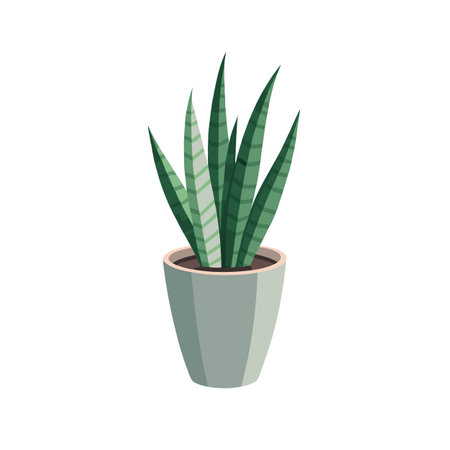 Sansevieria Plant Illustration: Stylish Potted Snake Plant for Modern Home Decorのイラスト素材