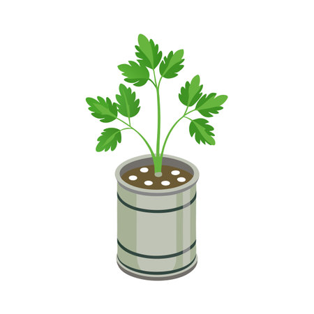 Parsley Plant Growing in a Metal Container, Culinary Herb Illustrationのイラスト素材