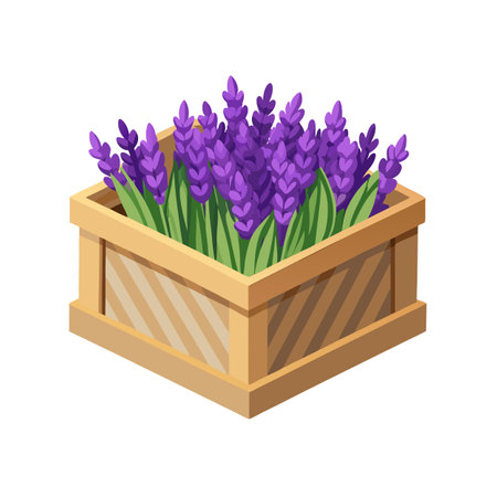 Lavender Plant in Wooden Box, Decorative Floral Arrangement for Home Decorのイラスト素材