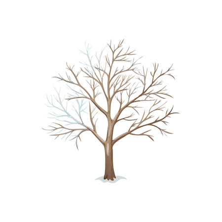 Winter Tree Illustration with Snow, Bare Branches and Cold Colorsのイラスト素材