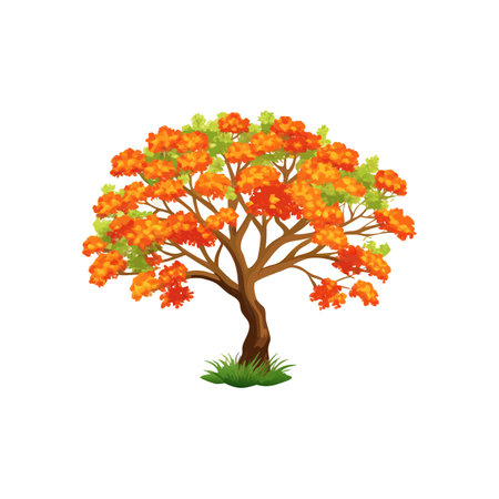 Vibrant Royal Poinciana Tree Illustration: Exotic Blossom, Summer Foliage, Tropical Themeのイラスト素材