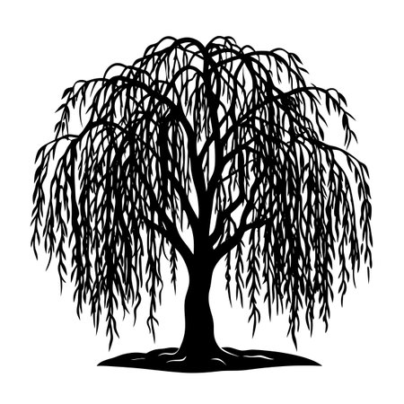 Weeping Willow Tree Silhouette: Elegant Black and White Vector Illustrationのイラスト素材