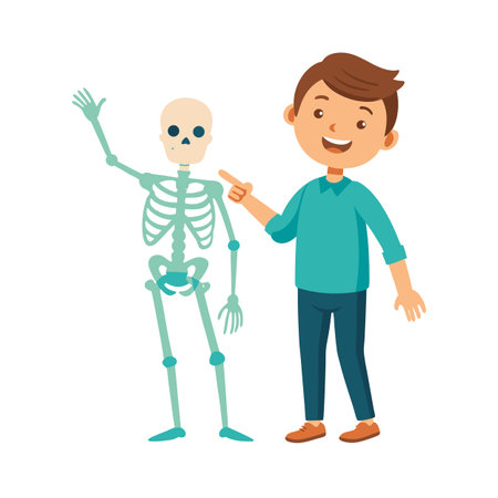 Boy Pointing to Skeleton: Anatomy Education, Health Science, Skeletal System, Vector Illustrationのイラスト素材