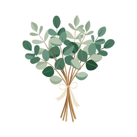 Eucalyptus Bouquet with Ribbon: A Minimalist and Elegant Botanical Illustration on Whiteのイラスト素材