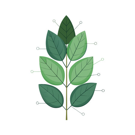 Stylized Green Leaf Branch Illustration with Nodes on White Background for Science and Natureのイラスト素材