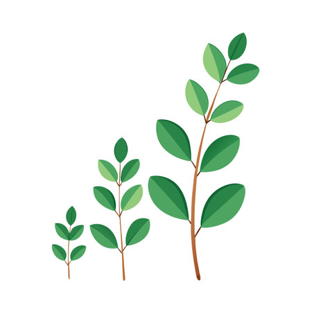 Growing Green Shoots Vector Illustration Representing Growth Stages on White Backgroundのイラスト素材