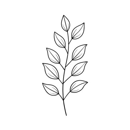 Elegant single branch with stylized leaves, a minimalist botanical illustration ideal for design applicationsのイラスト素材