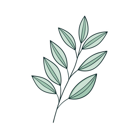 Simple botanical illustration featuring light green leaves on a white background, creating a minimalist aestheticのイラスト素材