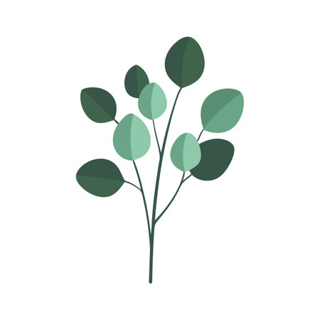 Eucalyptus Branch Illustration with Green Leaves on White Background for Creative Projectsのイラスト素材