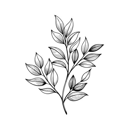 Elegant monochrome illustration of a leafy sprig for botanical design projects and invitationsのイラスト素材